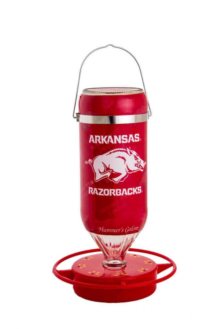 <span class="click-to-enlarge">Click to Enlarge</span></br>University of Arkansas</br>Side 2