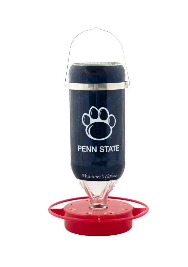 <span class="click-to-enlarge">Click to Enlarge</span></br>Penn State University</br>Side 2